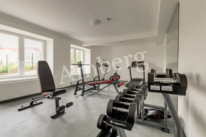 Pronájem bytu 1+kk, Praha - Vinohrady, Perucká, 26 m2