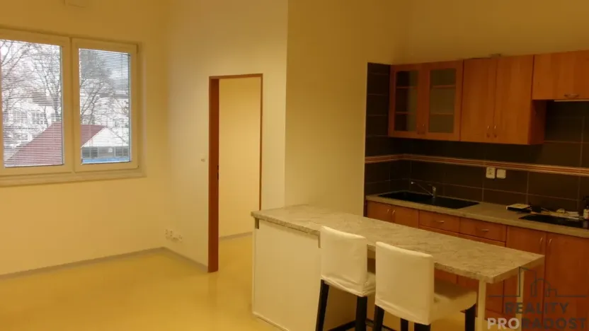 Pronájem bytu 2+kk, Brno, Opavská, 46 m2