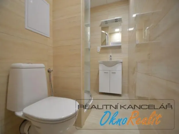 Pronájem bytu 1+1, Přerov - Přerov I-Město, Velká Dlážka, 35 m2