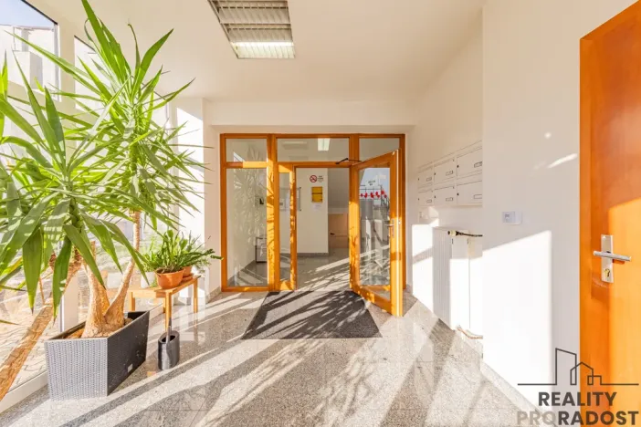 Prodej obchodního prostoru, Jeseník, nám. Svobody, 356 m2