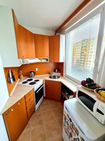 Pronájem bytu 1+1, Praha - Chodov, Brodského, 30 m2