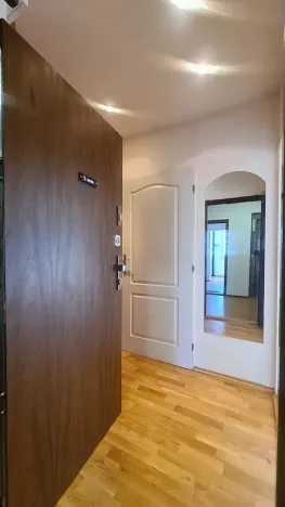 Pronájem bytu 1+1, Praha - Chodov, Brodského, 30 m2