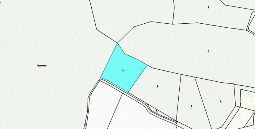 Dražba lesa, Kasalice, 7304 m2