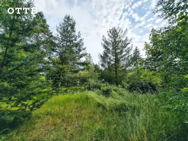 Prodej pozemku pro bydlení, Plzeň - Litice, 850 m2