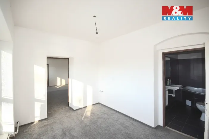 Prodej rodinného domu, Město Albrechtice - Opavice, 250 m2