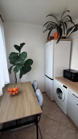 Prodej bytu 2+1, Vodňany - Vodňany II, Výstavní, 65 m2