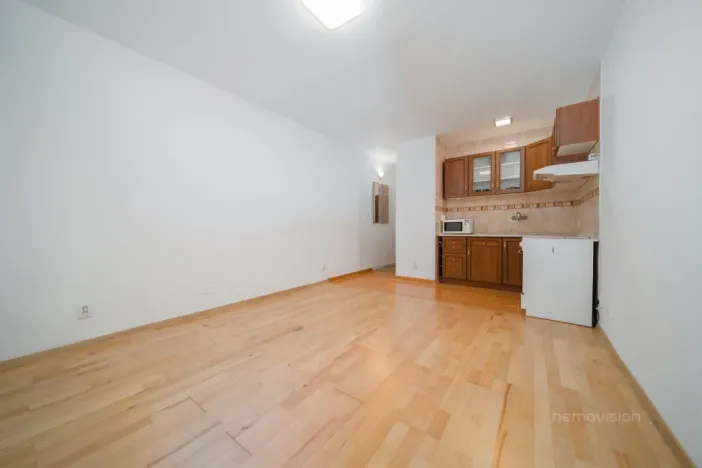 Prodej bytu 1+kk, Ostrava - Moravská Ostrava, U Parku, 32 m2