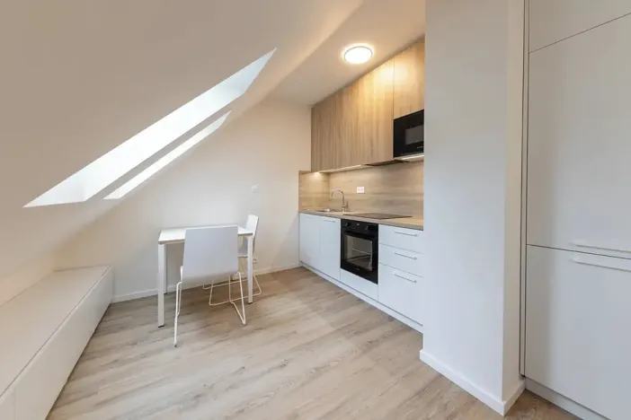 Pronájem bytu 1+kk, Praha - Bubeneč, Veletržní, 29 m2