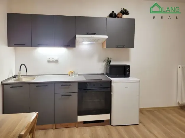 Pronájem bytu 1+kk, Brno, Francouzská, 31 m2