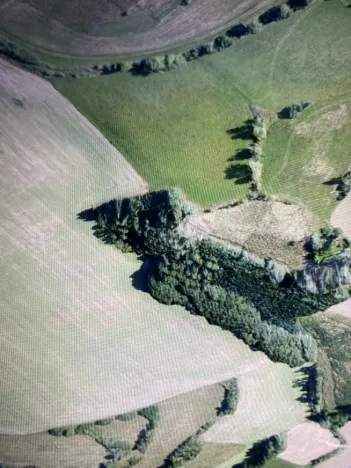 Prodej lesa, Čepřovice, 193 m2