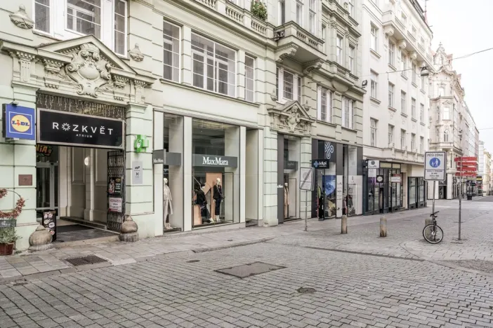 Pronájem bytu 2+1, Brno - Brno-město, Panská, 76 m2