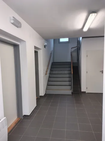 Pronájem bytu 2+kk, Zbůch, Smrková, 40 m2