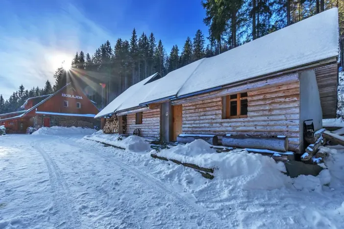 Prodej chalupy, Vítkovice, 500 m2