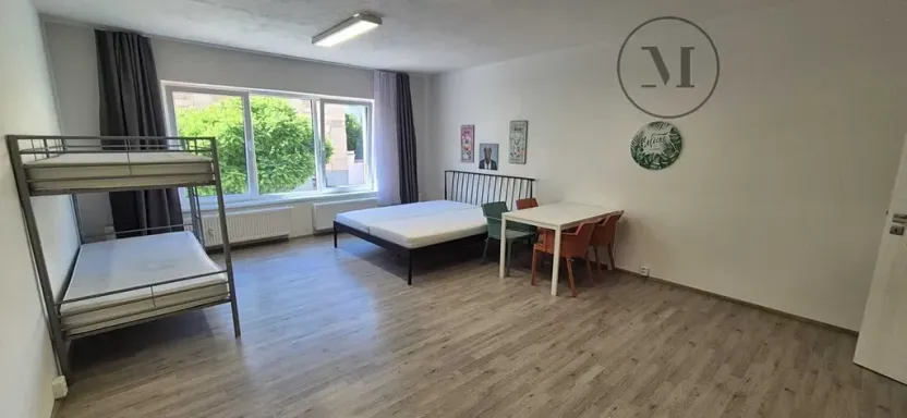 Pronájem bytu 1+kk, České Budějovice, Skuherského, 45 m2