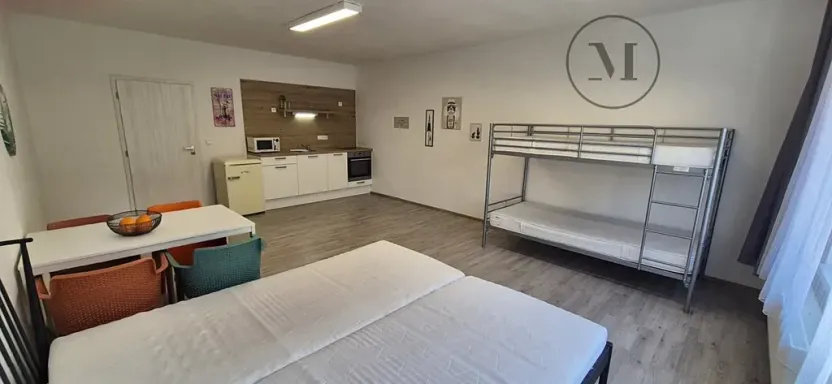 Pronájem bytu 1+kk, České Budějovice, Skuherského, 45 m2