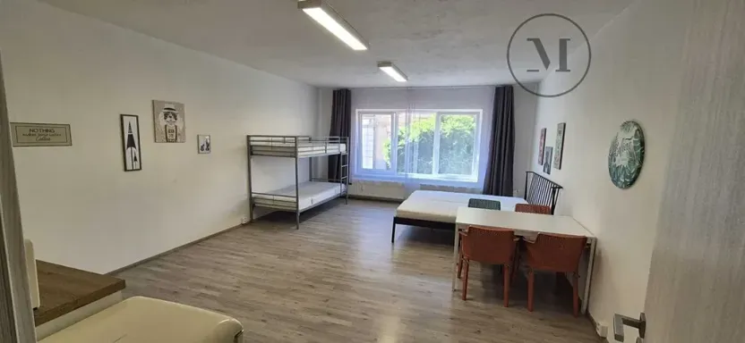 Pronájem bytu 1+kk, České Budějovice, Skuherského, 45 m2