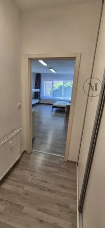Pronájem bytu 1+kk, České Budějovice, Skuherského, 45 m2