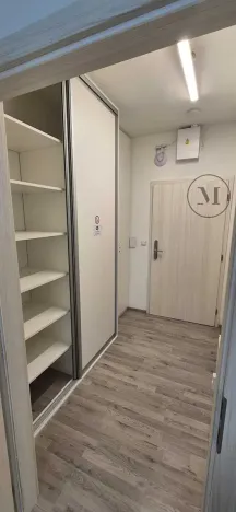 Pronájem bytu 1+kk, České Budějovice, Skuherského, 45 m2