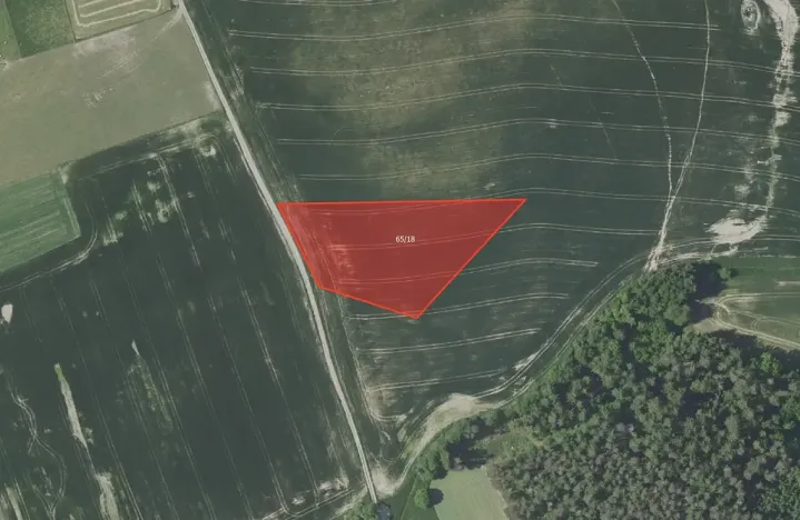 Prodej pole, Vojkov, 7804 m2