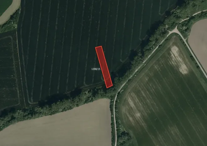 Prodej pole, Kněždub, 3809 m2