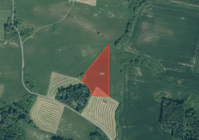 Prodej louky, Pačejov, 13638 m2