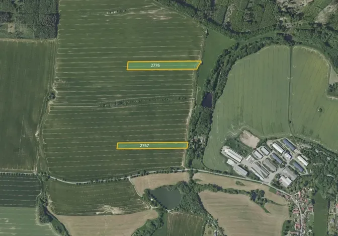 Prodej pole, Pravonín, 25975 m2