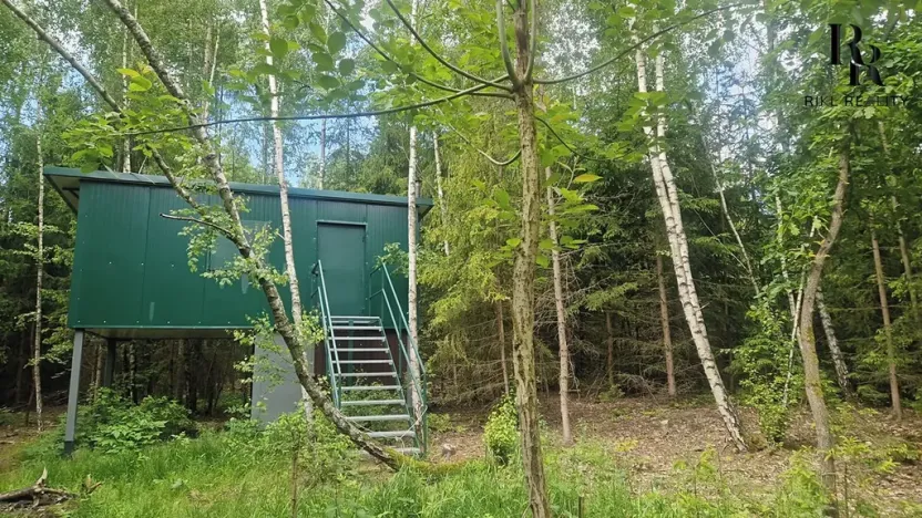 Prodej lesa, Hlubočky, 6680 m2