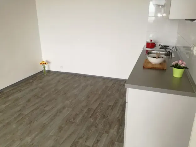 Pronájem bytu 2+kk, Ostrava - Bělský Les, Jiřího Herolda, 49 m2