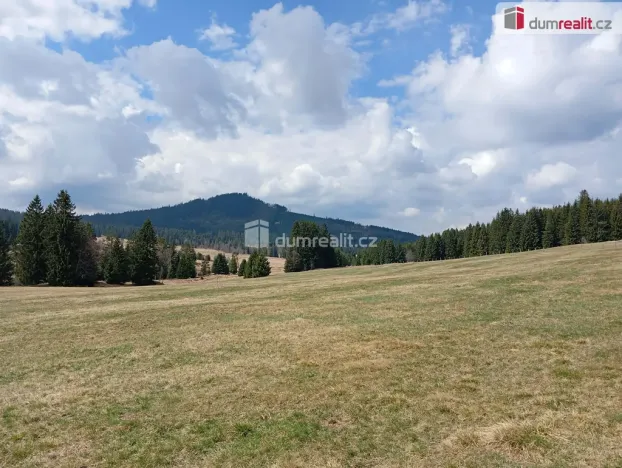 Prodej louky, Horská Kvilda, 1321 m2