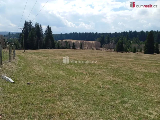 Prodej louky, Horská Kvilda, 1321 m2