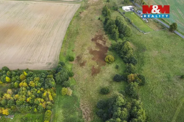 Prodej louky, Františkovy Lázně - Žírovice, 8900 m2