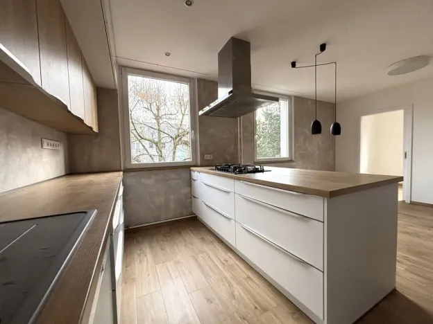 Pronájem bytu 3+kk, Plzeň - Severní Předměstí, Elišky Krásnohorské, 67 m2