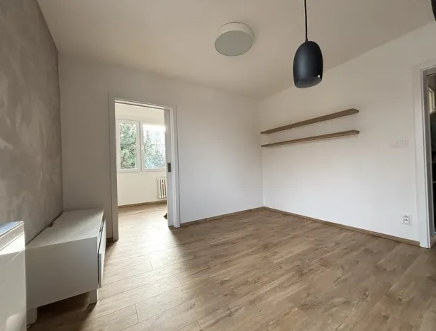 Pronájem bytu 3+kk, Plzeň - Severní Předměstí, Elišky Krásnohorské, 67 m2