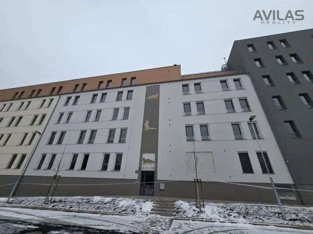 Pronájem bytu 1+kk, Benešov, U Pivovaru, 36 m2