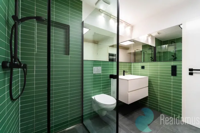 Pronájem bytu 2+kk, České Budějovice, V. Talicha, 58 m2