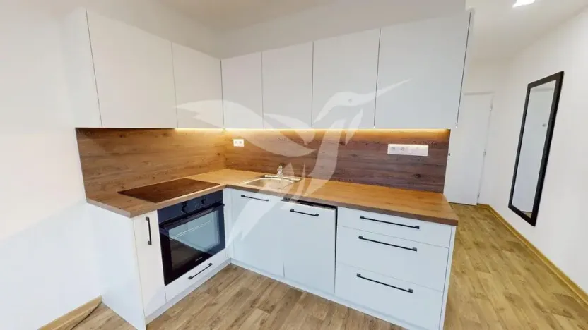 Pronájem bytu 1+1, Plzeň, Lábkova, 46 m2