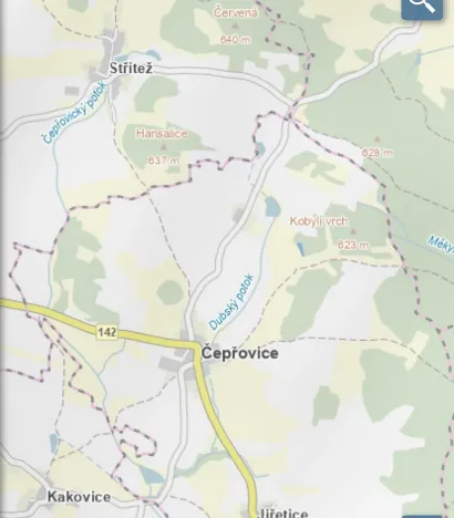 Prodej lesa, Čepřovice, 1644 m2