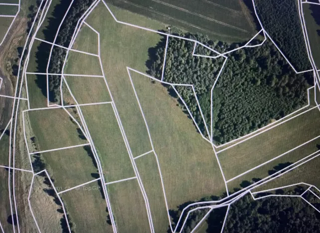 Prodej lesa, Čepřovice, 1644 m2