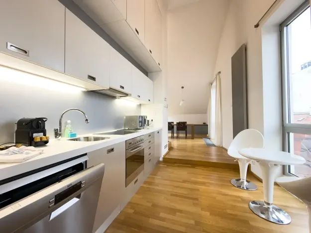 Pronájem bytu 2+kk, Praha - Staré Město, Haštalská, 107 m2