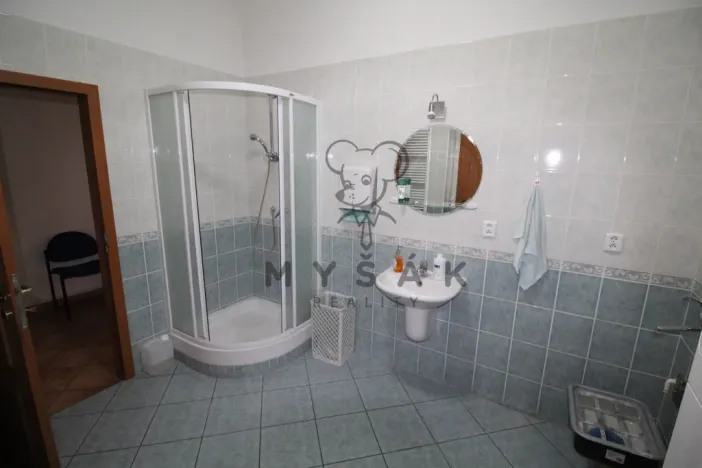 Pronájem bytu 4+1, České Budějovice - České Budějovice 3, Holečkova, 100 m2