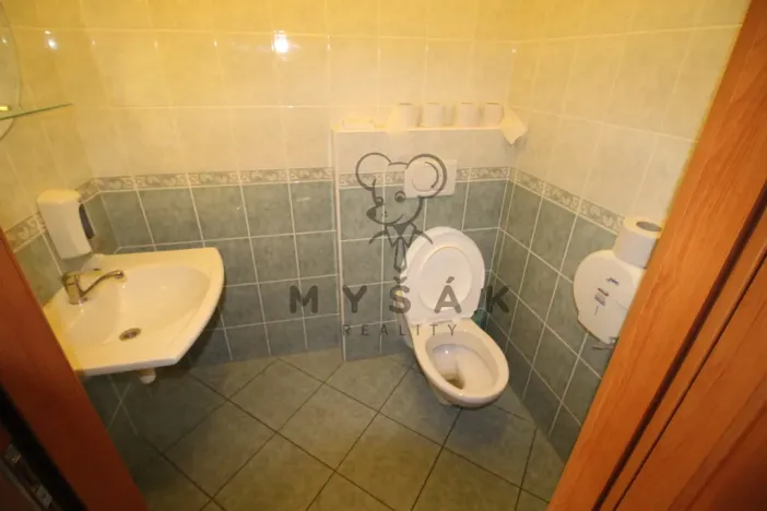 Pronájem bytu 4+1, České Budějovice - České Budějovice 3, Holečkova, 100 m2