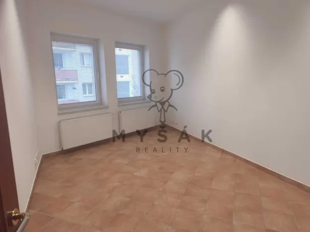 Pronájem bytu 4+1, České Budějovice - České Budějovice 3, Holečkova, 100 m2