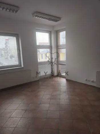 Pronájem bytu 4+1, České Budějovice - České Budějovice 3, Holečkova, 100 m2