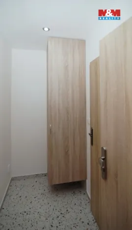 Prodej bytu 1+kk, Ostrava - Moravská Ostrava, Ahepjukova, 26 m2