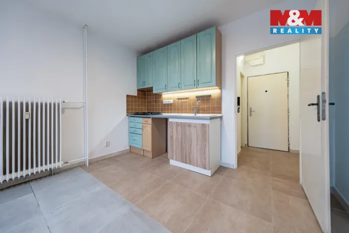 Prodej bytu 1+1, Strakonice - Strakonice I, Mlýnská, 39 m2