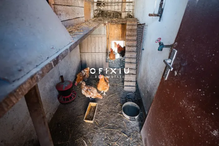 Prodej rodinného domu, Hrušovany nad Jevišovkou, Drnholecká, 160 m2