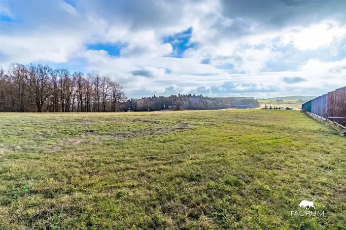 Prodej pozemku pro bydlení, Losiná, 4295 m2