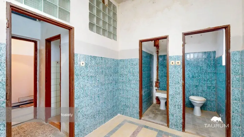 Prodej rodinného domu, Roupov, 525 m2