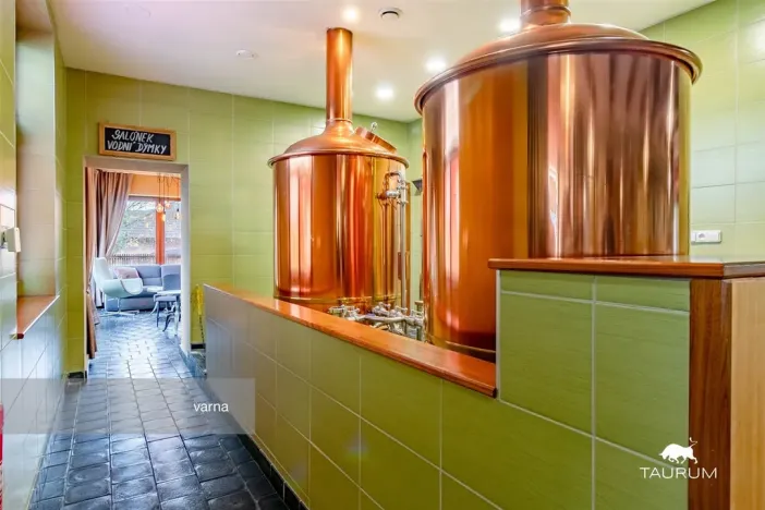 Prodej kanceláře, Rokycany - Plzeňské Předměstí, Sokolská, 413 m2