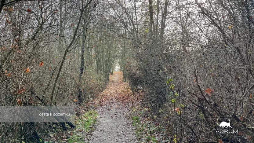 Prodej pozemku, Jílové u Prahy, 3438 m2